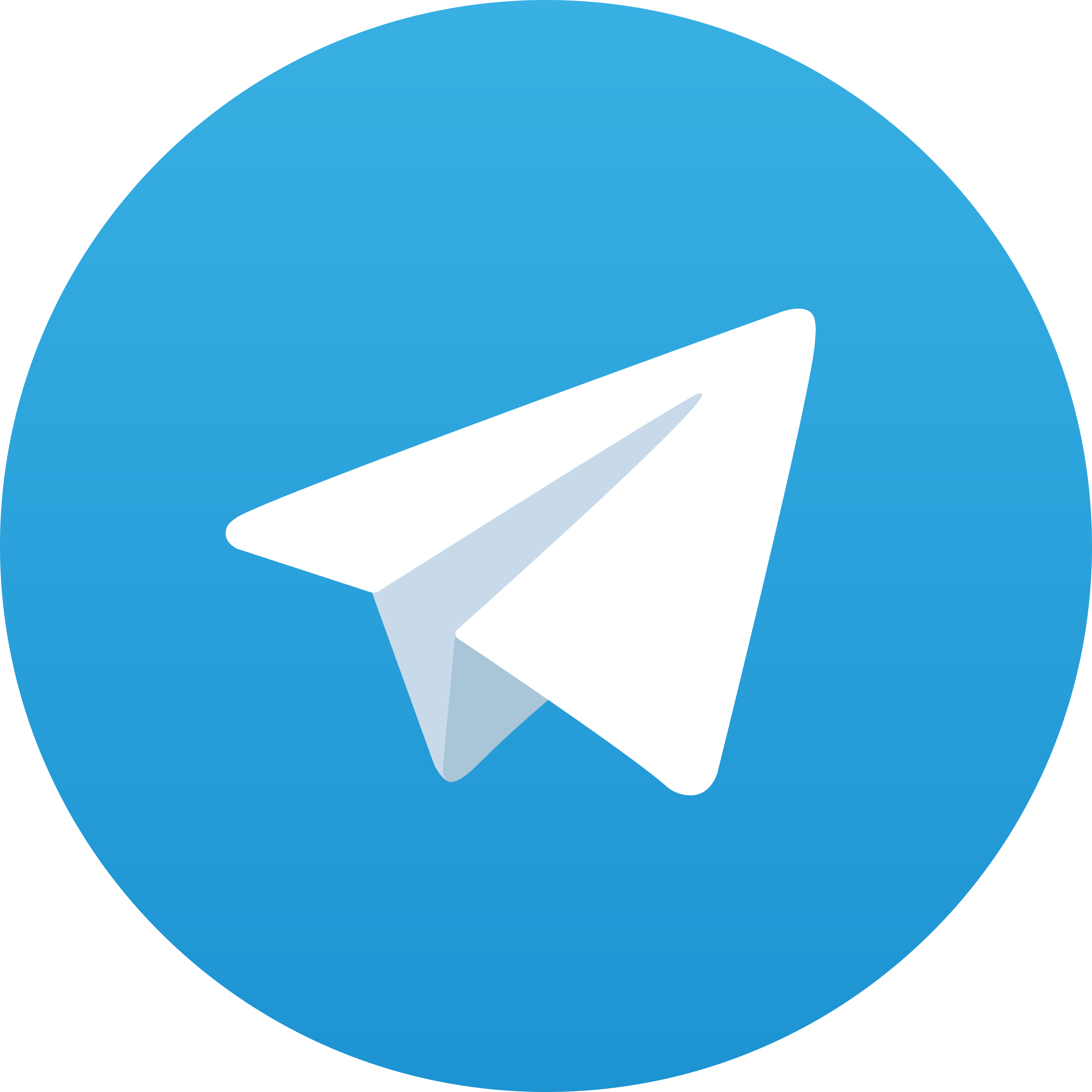 Telegram Wd300